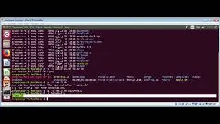 Linux Copying files with cp command