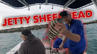 Rough conditions producted some nice Sheepshead!