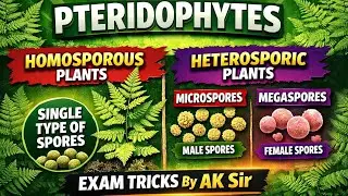 Biology tricks l pteridophytes l TGT PGT biology l robaff teacher exam l ak sir 