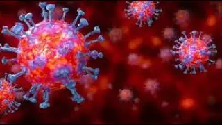 10 Common Words about Coronavirus