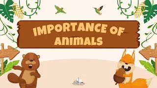 Importance Of Animals
