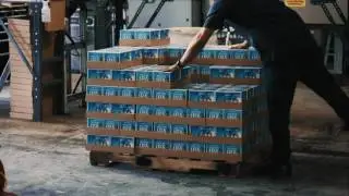 Golden Road Brewing