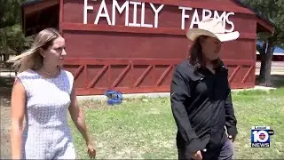 After cruelty arrest, farm owner wants animals back