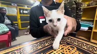 Veterinary Emergency Dog Vaccination Cat Vaccination Avian Vet FishVet 01912251312