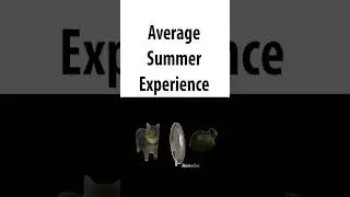average summer experience