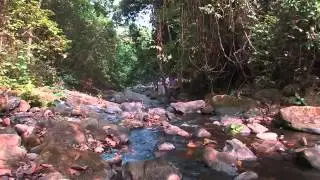 GREYSTOKE MAHALE - Nomad Safaris