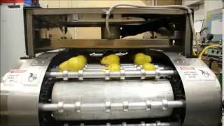 pear peeling