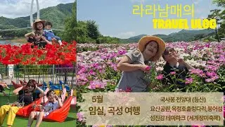 05월 임실,곡성 여행//임실에서 국사봉등산과 옥정호 출렁다리를 건너 붕어섬까지//곡성 세계장미축제를 방문 즐거운 추억을 남겼다