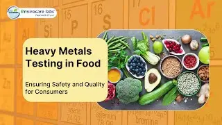 Heavy Metals Testing for Safe Food Consumption by Envirocare Labs.