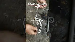 الحل السحري لمشاكل طبة الزيت