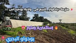 🚨#مزرعة +باطوار _للبيع في بودواو البحري ولاية بومرداس 🇩🇿   رقم صاحب العقار: 0550573136📞