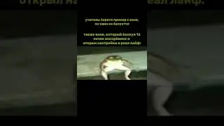 Бархатные мемы /17 #мемы #лягушка #мемы #frogmemes #мем