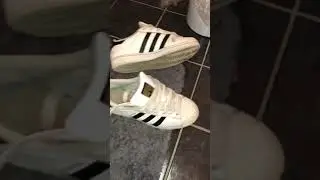 Girlfriends stinky and Sweaty old used Adidas Superstars