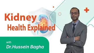 Kidney Health Explained: Diabetes, Blood Pressure, Heart & Infections