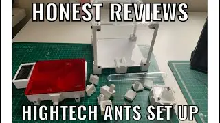 Honest Reviews Hightech Ants Medium Nest and Outworld