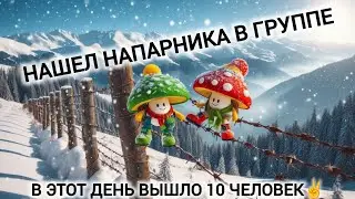 В этот день вышло 10 человек | Нашел напарника в группе | История выхода в Румынию через Карпаты🍄🏔