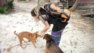 Happy Dogs Koh Chang - The Change