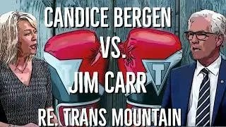 Trans Mountain Goes Against  Liberal Values