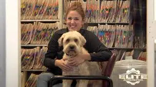 Elite Auto Repair | Dr. Tom McGunigal | Elite is Amazing