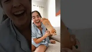 Can You Handle Foot Tickle Challenges?
