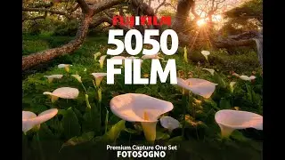 Fujifilm 5050 Set &bull; Capture One Styles &bull; by FotoSogno