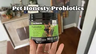 A Look Into Pet Honesty Probiotic Chews for Dogs