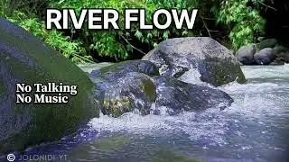 Isolated River Stream: Block Out Distractions with Nature