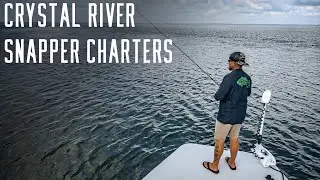 Crystal River Snapper Charters