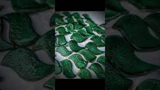 my green line to Flow - magnetic buzady fun stuff 💚💚☘️☘️🍏🍏