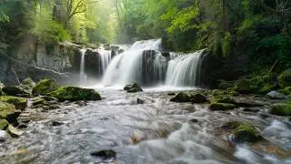 Natural Water ASMR – Peaceful Sounds for Sleeping, Meditation & Healing