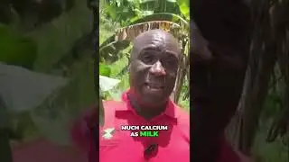 😲More Iron Than Spinach?! #Callaloo
