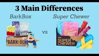 BarkBox vs Super Chewer: Learn the 3 Main Differences