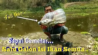 Perangkap Ikan / Bubu Ikan dari Galon Bekas Selalu Panen Ikan Wader Tawes di Sungai