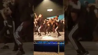 BuildaBeast 2017 ~ Imma Fam Baby Beasts and Li'l Beasts