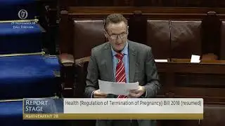 Deputy Peter Fitzpatrick - Government Business - 29.11.2018