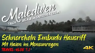 MALEDIVEN 2021 - Embudu Island Hausriff  