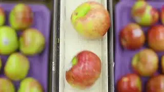 Port of Seattle | Washington Fruit & Produce | Video Production Company - Creative Media Alliance