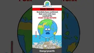 Save the Coral Reefs