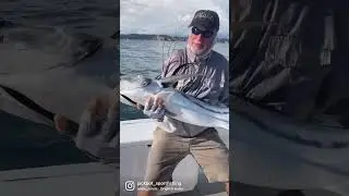 TROPHY ROOSTERFISH!