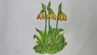Capturing Elegance: Drawing the Beauty of Ginger Lily (Dolon Chapa) | Artistic Delight!