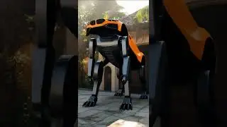Wait for the Transformation &ndash; Orange BMW Beast Mode Reveal! #bexy New Car Reveals 4k