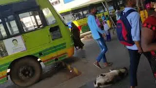 New Belagavi Bus stand|NWKRTC,KSRTC,KKRTC,MSRTC,Interiors MSRTC new Lalpari,Yallamma jatra spl buses
