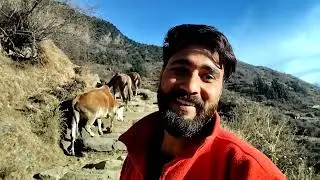  गाँव की जिंदगी