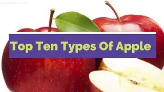 TOP 10  apples from 7,500 varieties of in the world