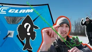 UNKNOWN LOCATION!! ICE FISHING {CATCH CLEAN COOK}