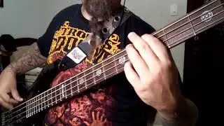 Cancer - Body Count (bass cover)