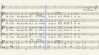 Anima Christi - Bass - Marco Frisina - UPDATED