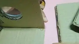 ENGINEERING SCIENCE Project ( MINI Washing Machine)