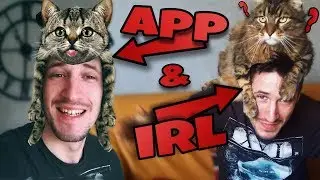 Funny cat challenge real life filter