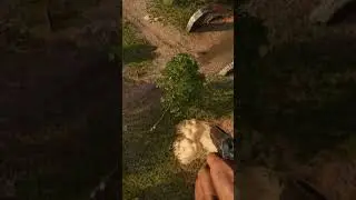 Assassin's Creed Easter Egg in Far Cry 6